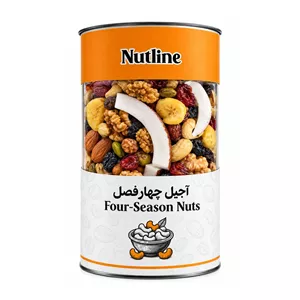 آجیل چهارفصل لوکس نات لاین - 470 گرم