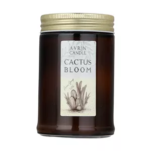  شمع معطر اورین مدل لیان Cactus Bloom