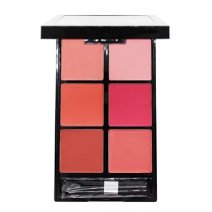 پالت رژ گونه رمانتیک برد مدل 6B V-Face Beauty Looks کد A
