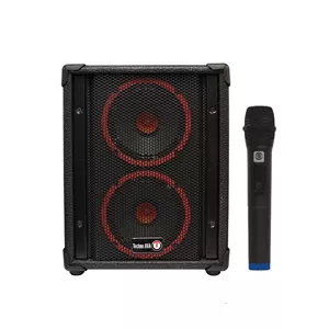 اکو همراه تکنو آوا مدل 6*2 اینچ بيسيم TS260PTUR6به همراه ميكروفن VHF