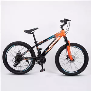 دوچرخه کوهستان جردن مدل cooper disc سایز طوقه ۲۴ اینچ
