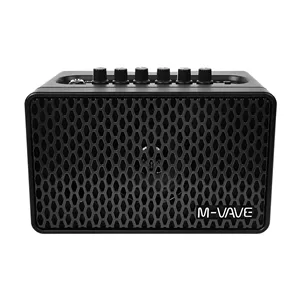 آمپلی فایر ام وی و مدل  SP100 BK