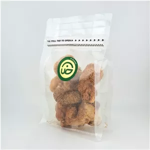 قارچ یال شیر دکتر ضی - 100 گرم
