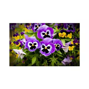  پادری مدل گل و طبیعت کد M35M001-MF0139 سایز 76x46 سانتی متر