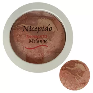 رژگونه نایسپیدو مدل تراکوتا شماره 208