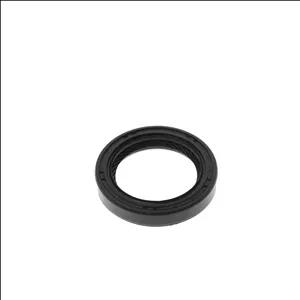 کاسه نمد شفت الیتک پارت مدل 105210012013 مناسب برای MVM530-X33