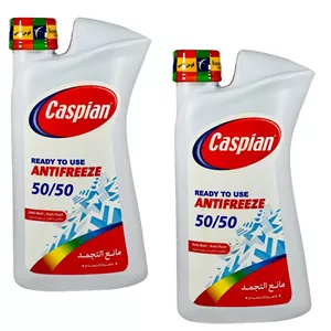 ضدیخ خودرو کاسپین مدل AM 11L 50/50 وزن 1 کیلوگرم مجموعه 2 عددی