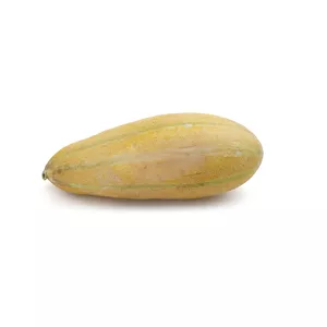 خربزه بزرگ Fresh مقدار 2.5 تا 3.5 کیلوگرم