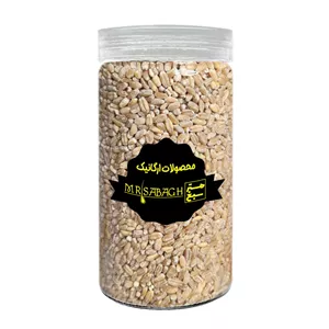 جو پوست کنده ممتاز مسترسبغ - 500 گرم