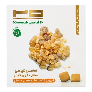 آدامس طبیعی سقز کندر بیست - ۲۰ گرم