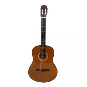 گیتار مدل C40