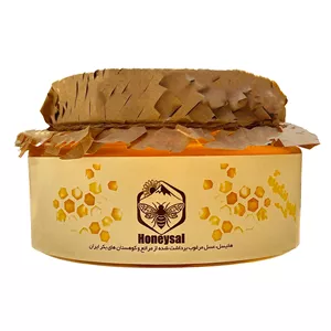 عسل طبیعی گون‌ انگبین هانیسل - 500 گرم