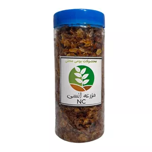 پیاز داغ سرخ شده انسی - 450 گرم
