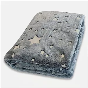 پتو مسافرتی 2 نفر ویراگیتا مدل شبنما ستاره بارانا سایز 220x200 سانتی‌متر