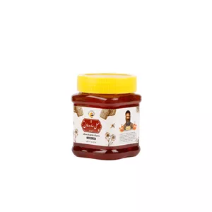 عسل طبیعی دیابتی سبلان - 500 گرم