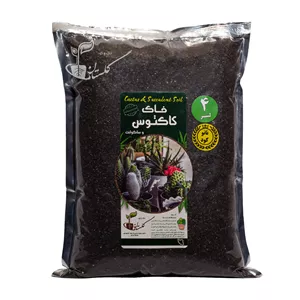 خاک کاکتوس و ساکولنت  خاک و کود گلستان مدل GKH12 حجم 4 لیتر