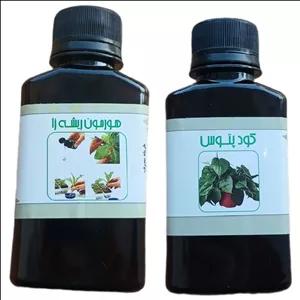 کود مایع پتوس و هورمون ریشه زا  مدل life drop حجم 110 میلی لیتر