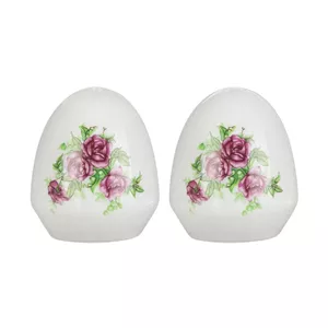 ست نمک پاش و فلفل پاش چینی زرین ایران مدل بیدگل درجه عالی