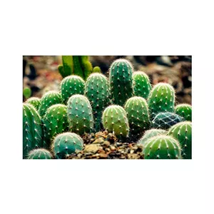  پادری مدل گل و طبیعت کد M35M001-MF0132 سایز 76x46 سانتی متر