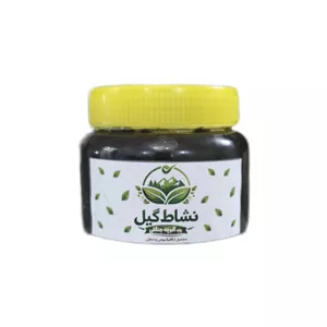 رب آلوچه محلی نشاط گیل  - 400 گرم