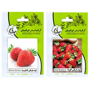 بذر میوه توت فرنگی کاماروسا و توت فرنگی گاویتا آرکا بذر ایرانیان کد ARK-A-ARK-02 وزن 20 گرم مجموعه 2 عددی 