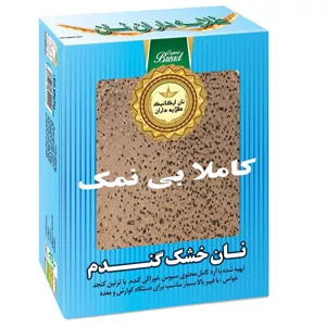 نان بی نمک طلایه داران بسته 10 عددی
