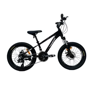 دوچرخه کوهستان فونیکس سایز 20 مدل 24 دنده دیسکی SPINAS