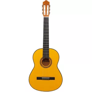 گیتار کلاسیک کوردوبا مدل C2  سایز 4/4