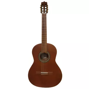 گیتار پارسی مدل P40