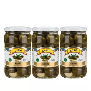 خیارشور سرکه‌ای صالحی - 650 گرم مجموعه 3 عددی