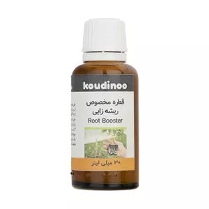  هورمون ریشه زایی کودینو مدل Root Booster  حجم 30 میلی لیتر