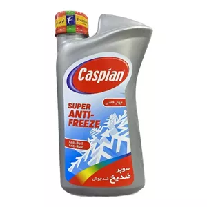 ضدیخ خودرو کاسپین مدل چهارفصل وزن 1 کیلوگرم