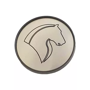 در پوش رینگ خودرو وارون مدل P-567 مناسب برای سمند بسته 4 عددی 