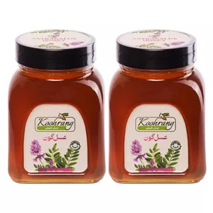 عسل طبیعی گون زاگرس رویال کندو کوهرنگ - 900 گرم بسته 2 عددی