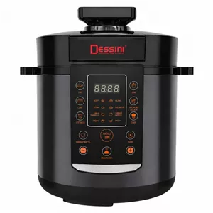 مولتی کوکر 6 لیتری دسینی مدل DS498