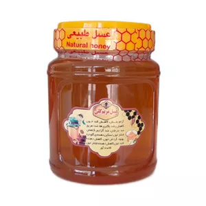 عسل طبیعی مریم گلی - 1000 گرم