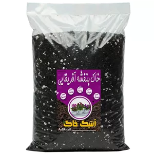 خاک بنفشه آفریقایی آنتیک خاک مدل 10LT وزن 5 کیلوگرم