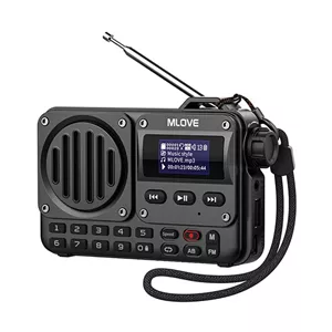 رادیو FM ام لایو مدل BV800 دارای Bluetooth