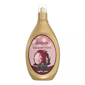 سس بستنی با طعم شاتوت سوربن - 500 گرم