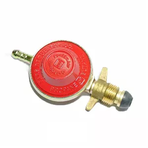 رگلاتور خانگی بوتان مدل پارس