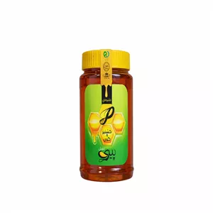 عسل  طبیعی گون وگشنیز پیری - 1000 گرم