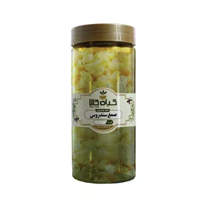 صمغ سندروس گیاه کالا - 100 گرم