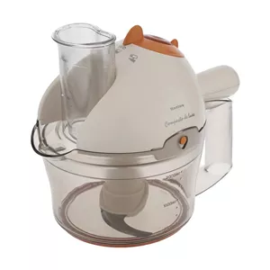 غذاساز چندکاره 800 وات نانیوا مدل N400