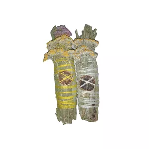 اسماج مدل پارسا مجموعه دو عددی