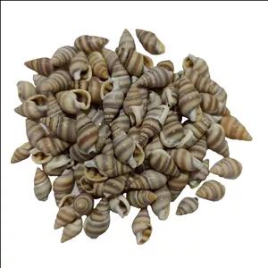 صدف تزیینی مدل pkst02 مجموعه 90 عددی