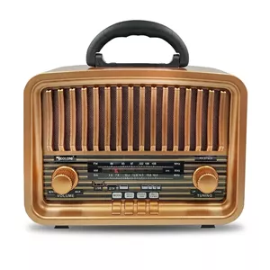 رادیو اسپیکر FM، AM، SW گولون مدل RX-BT929 دارای پورت USB