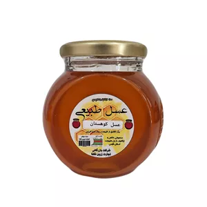 عسل طبیعی کوهستان - 450 گرم