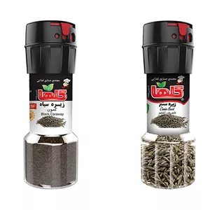 زیره سیاه و سبز گلها - 30 گرم بسته دو عددی