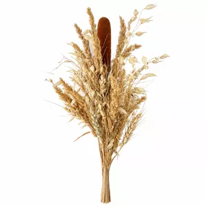 گل خشک مدل میکس لویی