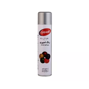 اسپری رنگ نقره ای روشن کاسپین مدل Professional حجم 300 میلی لیتر